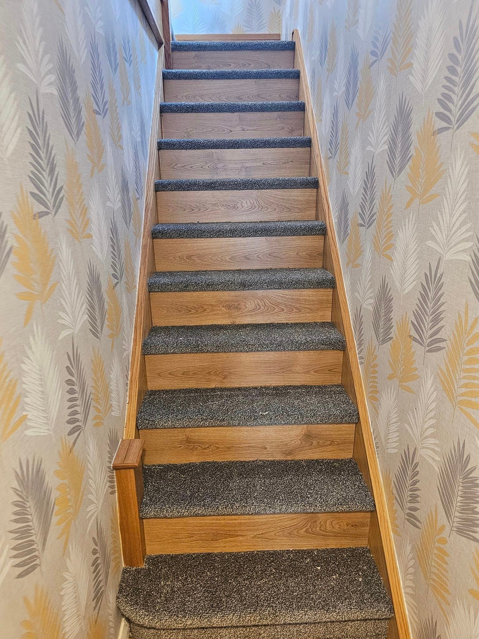 464113647_1027181029423196_1112097167732786607_n