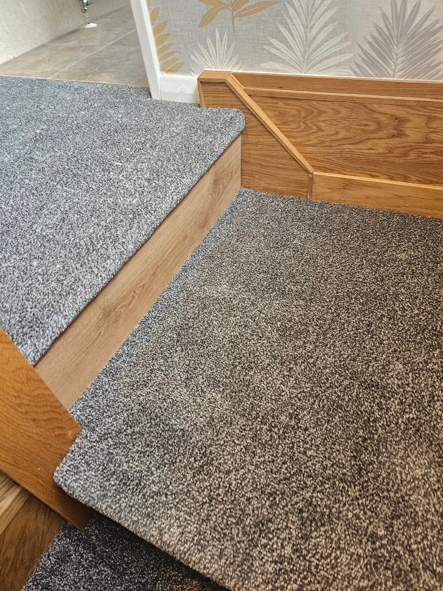 464130531_1027181102756522_5158287204247688724_n